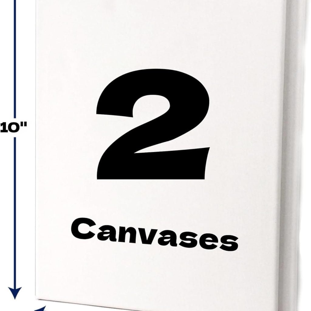ArtSkills Stretched Canvases for Painting, 11x14 Canvas Painting Supplies for Artists, Blank Canvas Pack, 2-Pack