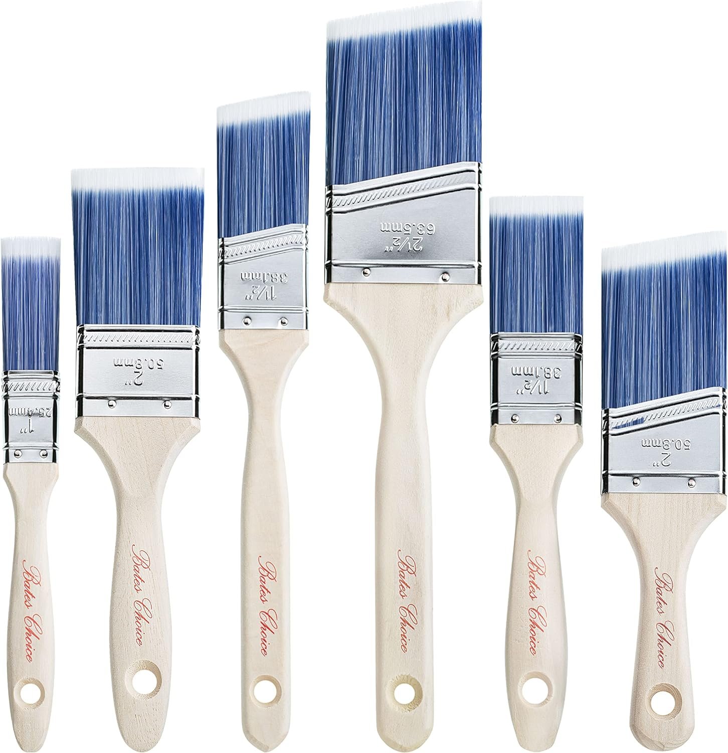 Bates- Paint Brushes 6 Pack Review