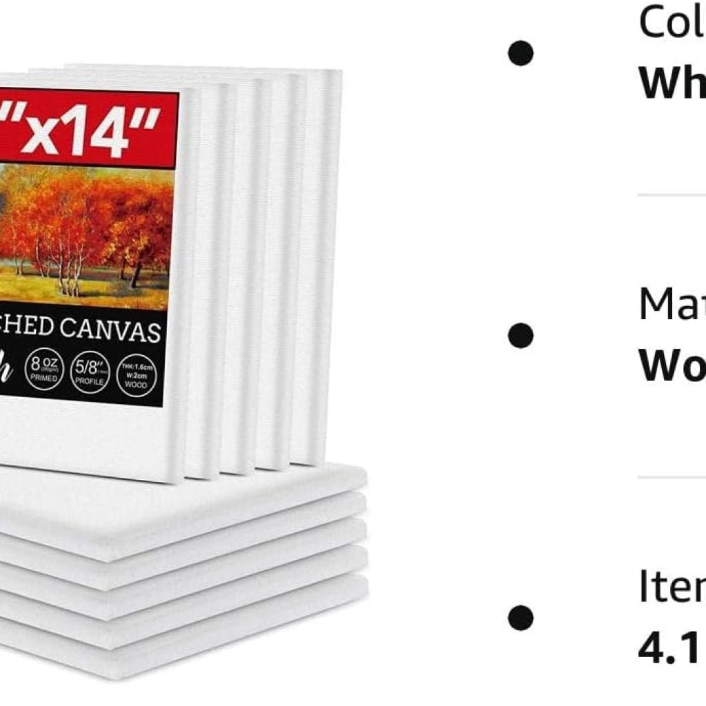 12 Pack Canvases for Painting with 11x14, Painting Canvas for Oil Acrylic Paint.