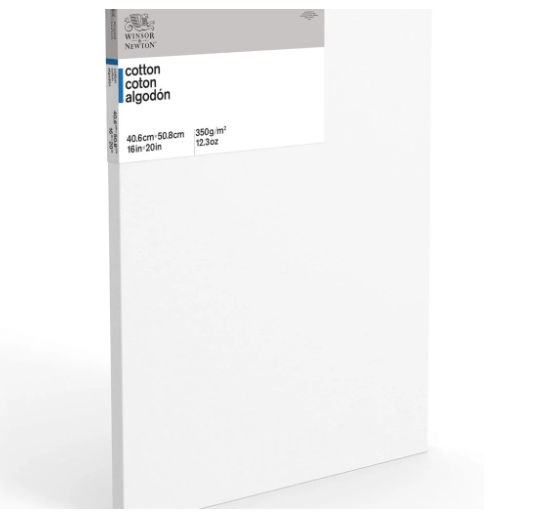 Winsor & Newton Canvas Review